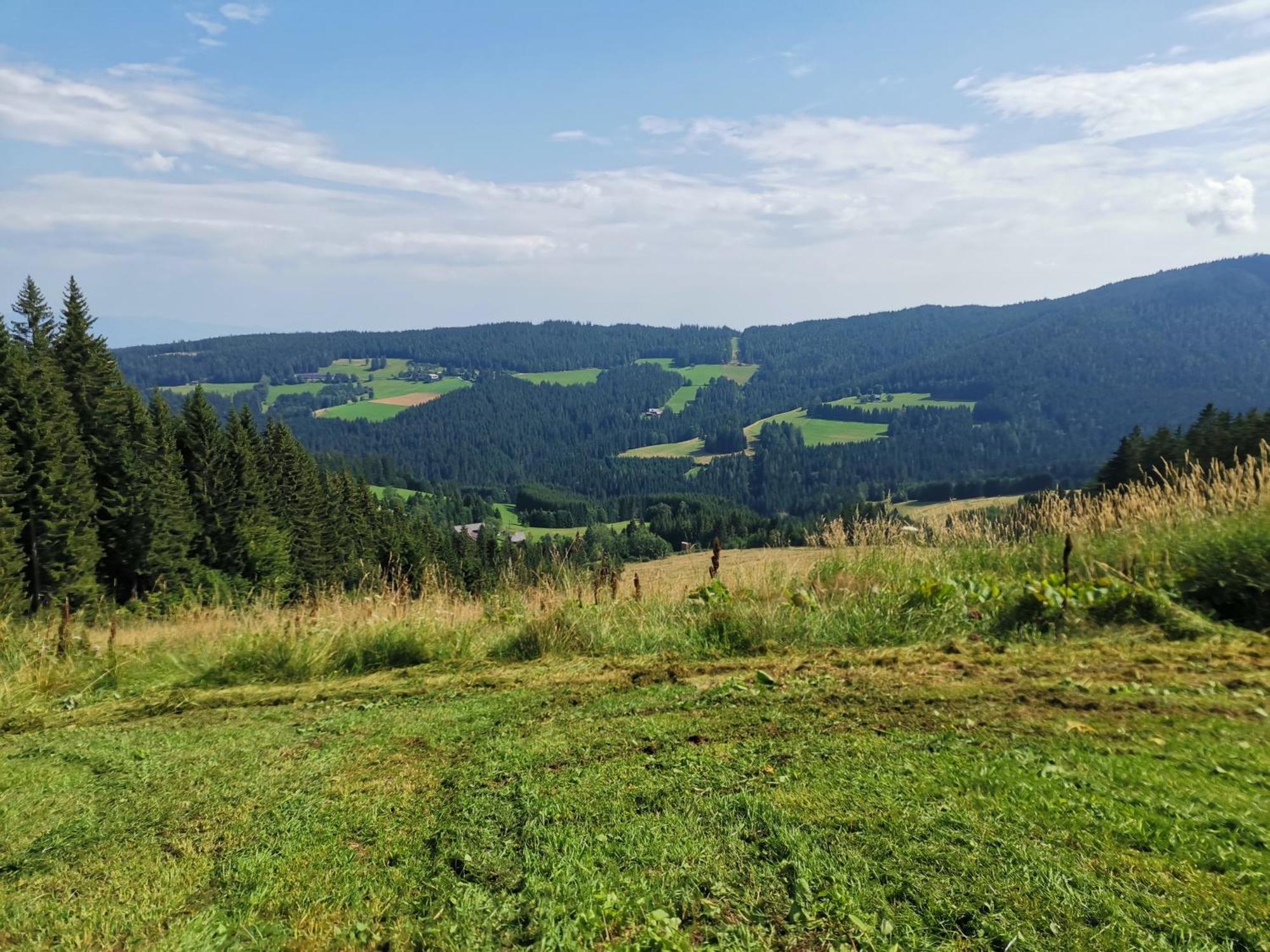 Gaestehaus Hebalm, Family & Friends Auf 900 M2 Wohnflaeche Erleben, Alleinnutzung Moeglich Pack Екстер'єр фото